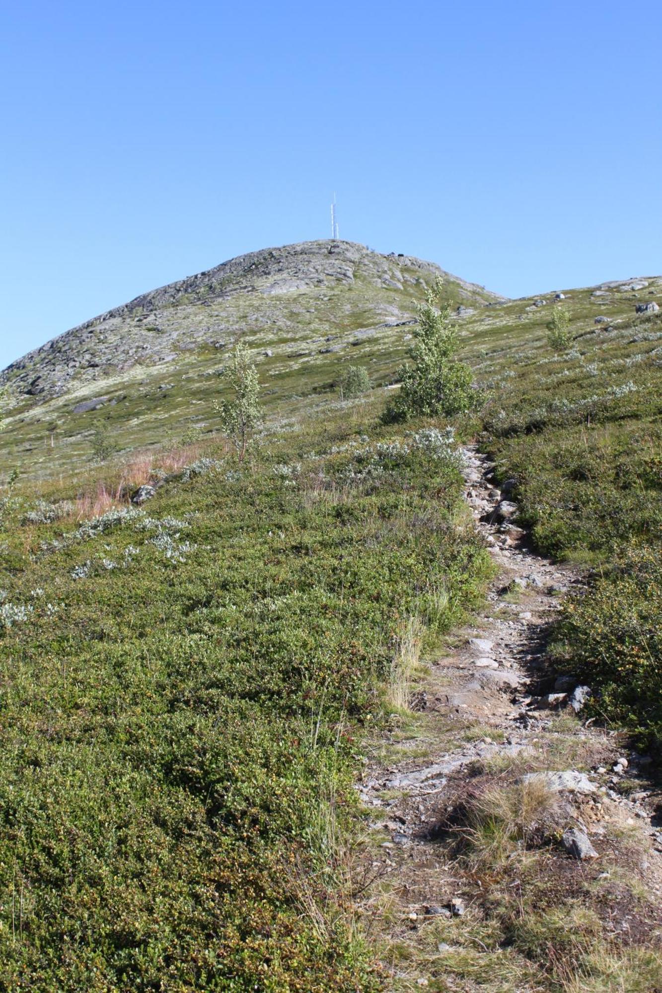 Jotunheimen Feriesenter Villa Heidal Exterior photo